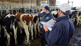 Preventing COVID-19 transmission during farm visits